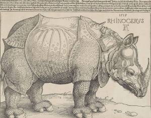 duerer_rhinozeros-jpg_max